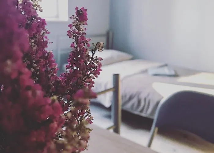 Lawendowy Hostel Wrocław